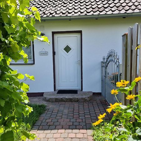 Feel-Good Apartment Close To The City Reppenstedt Экстерьер фото